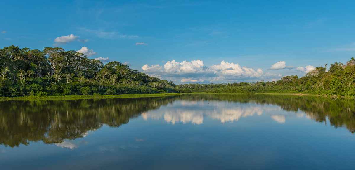An Eco-Friendly Jungle Stay in the Peruvian Amazon