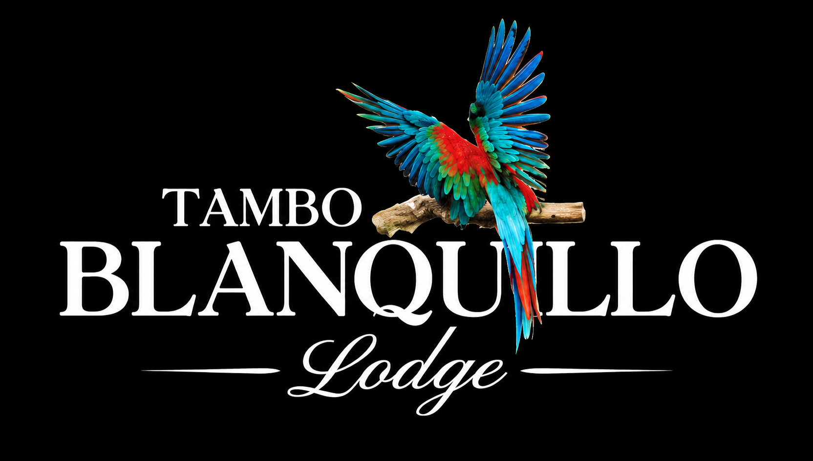 Tambo Blanquillo